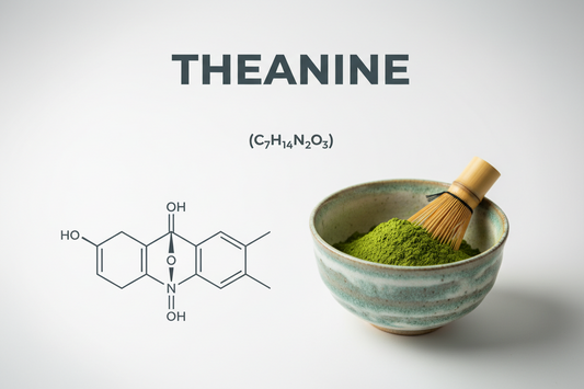 L-Theanine for Men: The Calming Amino Acid That Quiets Racing Thoughts and Supports Quality Sleep