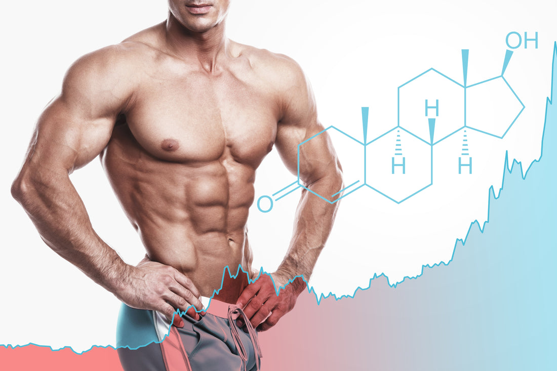 4 Simple “Lifestyle Upgrades” that Boost your Testosterone