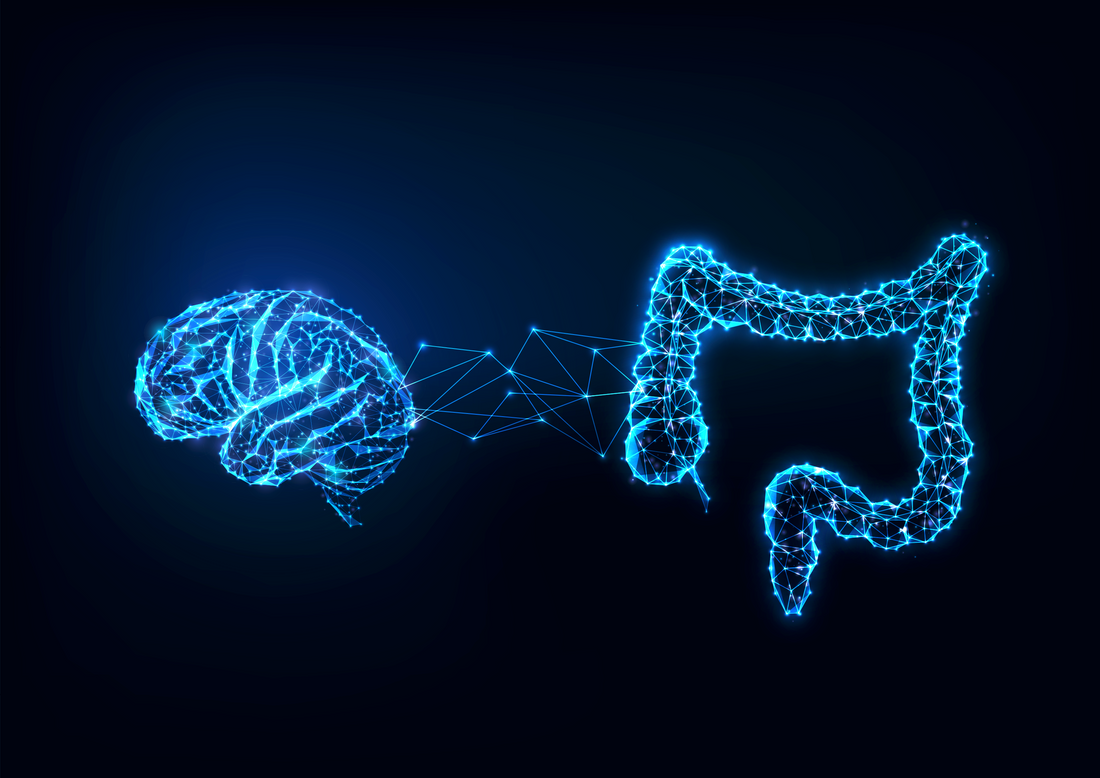Why Your Gut/Brain Connection Matters.