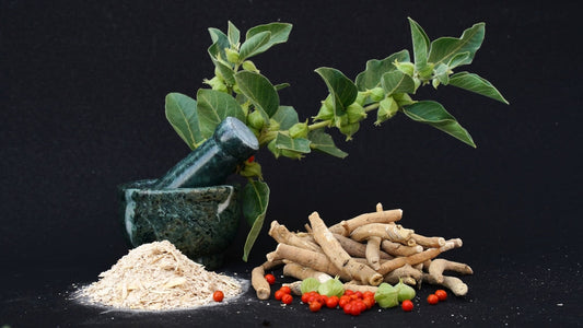 Ashwagandha for Men: The Ancient Adaptogen That Supports Testosterone, Stress, and Performance