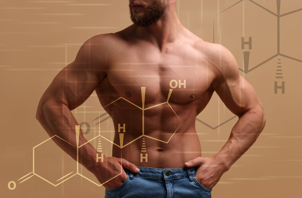 Best Fats for Testosterone?